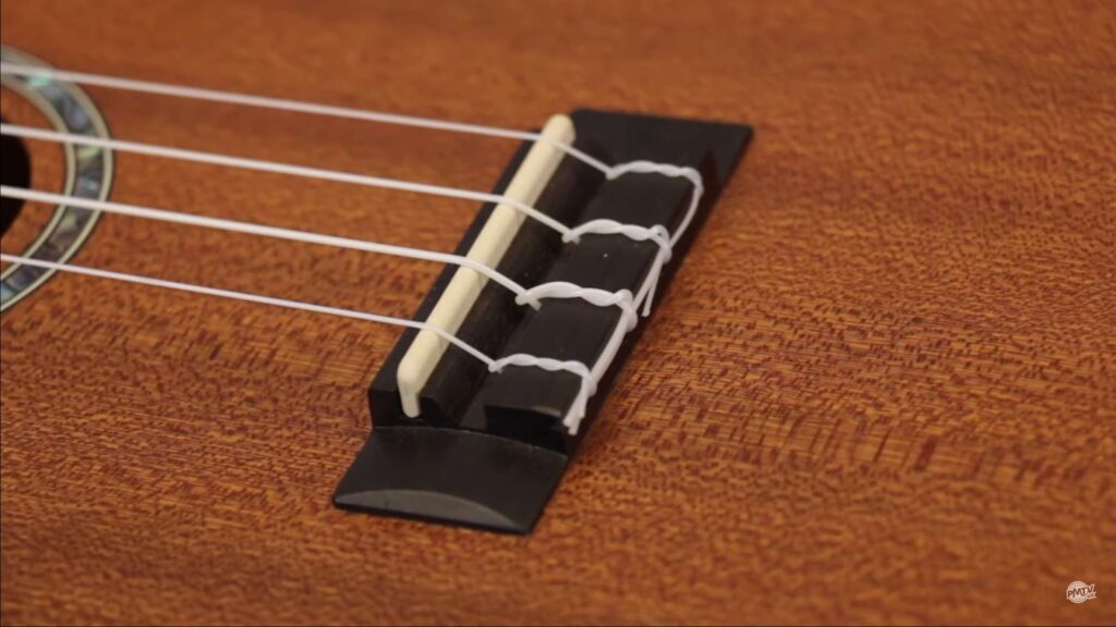 Close up of ukulele strings