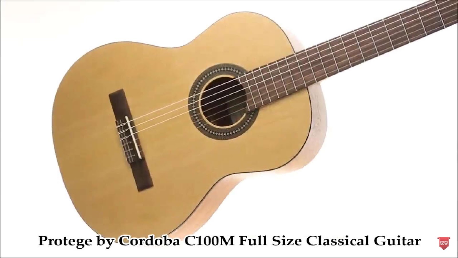 Cordoba c100m guitar