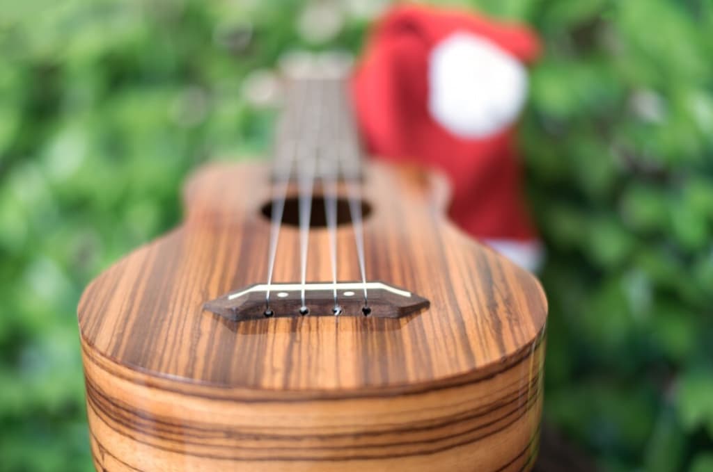 Ukulele resting on a wooden surface with a blurred green background