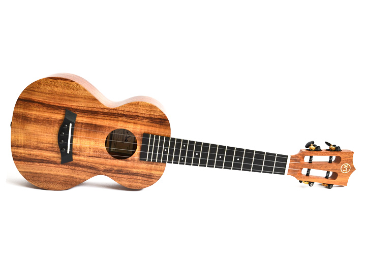 A ukulele