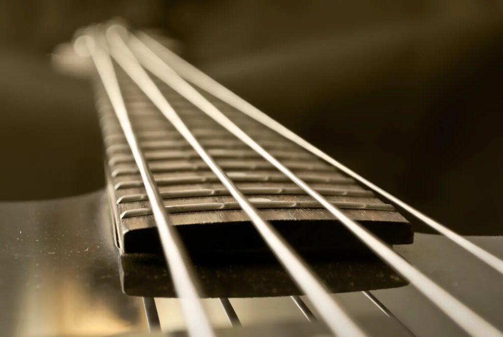 Guitar strings, close-up view