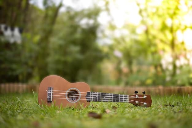 A ukulele lies on the grass